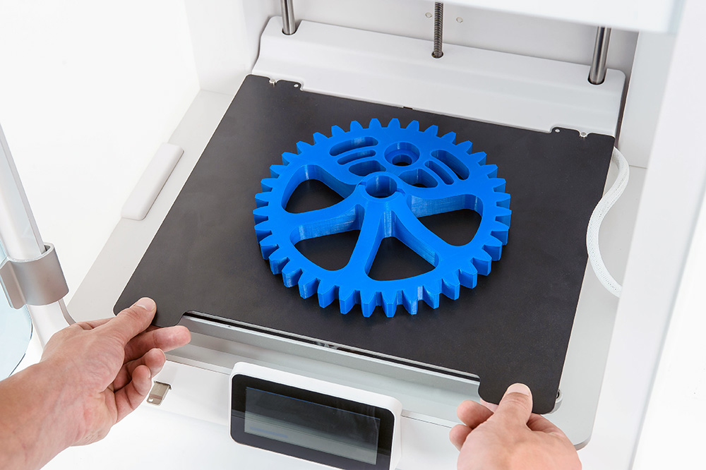 Remove-print-flexplate-1.jpg
